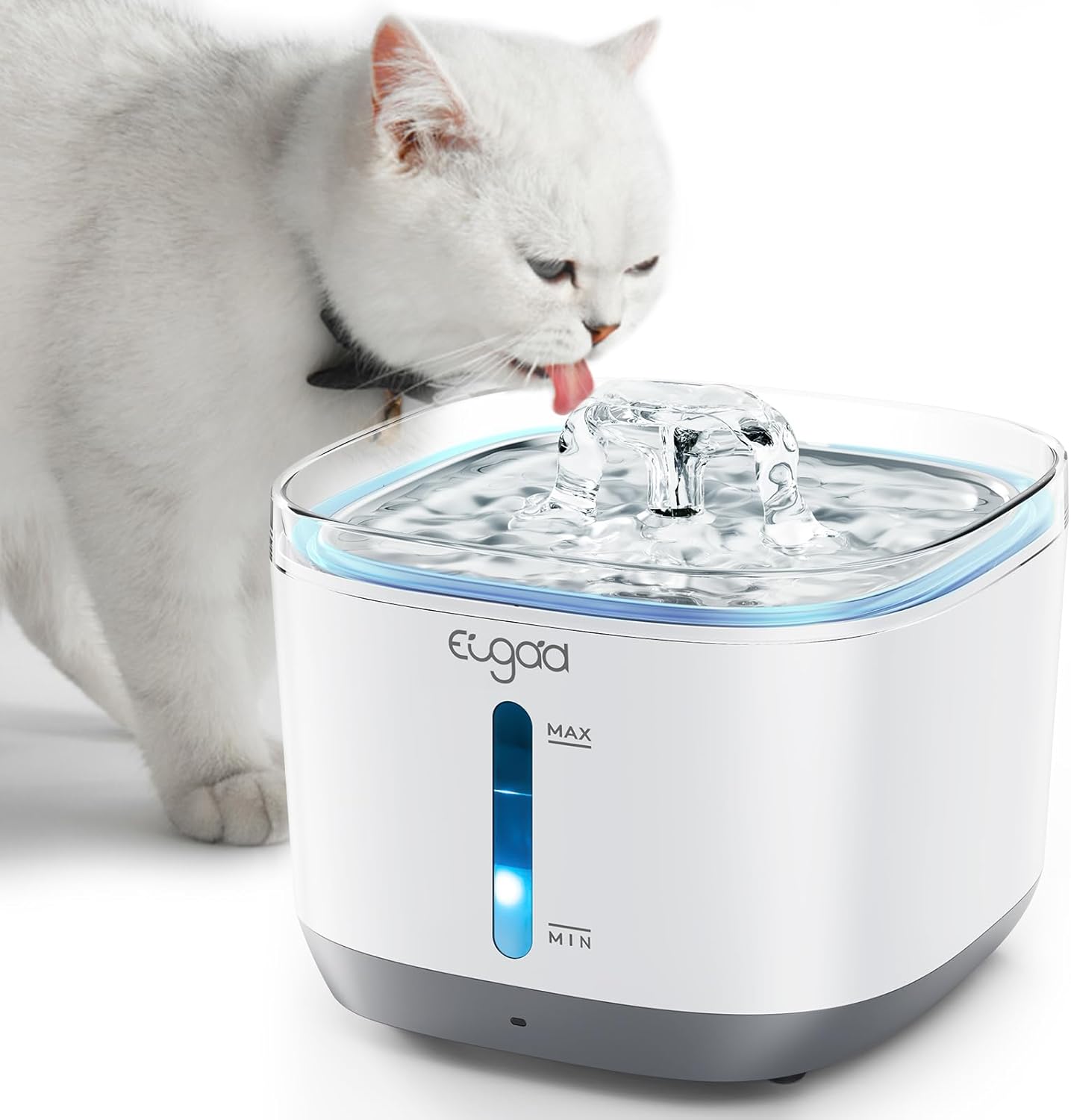 Bild eines Katzenwasserbrunnens